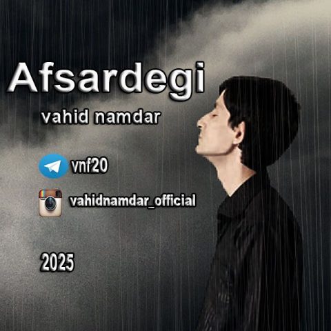 دانلود آهنگ وحید نامدار افسردگی